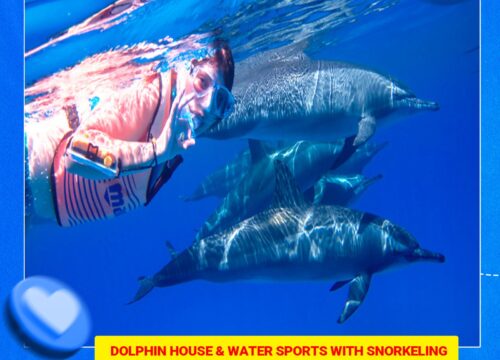 Dolphin House & Water Sports with snorkeling