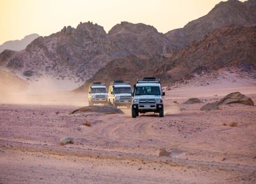 Super Safari (Quad-, Jeep-, Kamel- und Buggy-Safari mit BBQ-Abendessen)