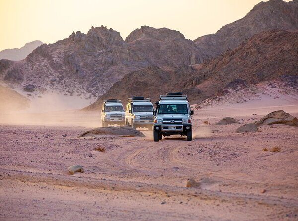 Super Safari (Quad-, Jeep-, Kamel- und Buggy-Safari mit BBQ-Abendessen)