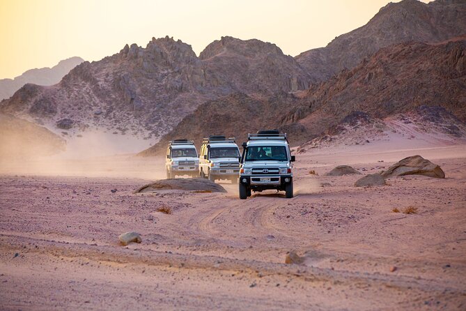 Super Safari (Quad-, Jeep-, Kamel- und Buggy-Safari mit BBQ-Abendessen)