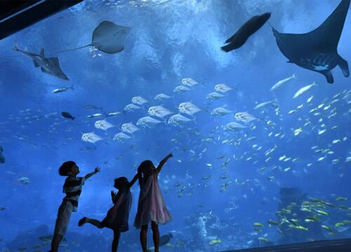 Grand Aquarium..