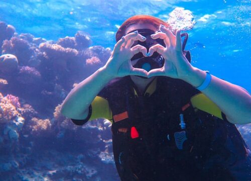 Ganztägiger Tauchausflug in Hurghada (erkunden Sie das Geheimnis des Roten Meeres)