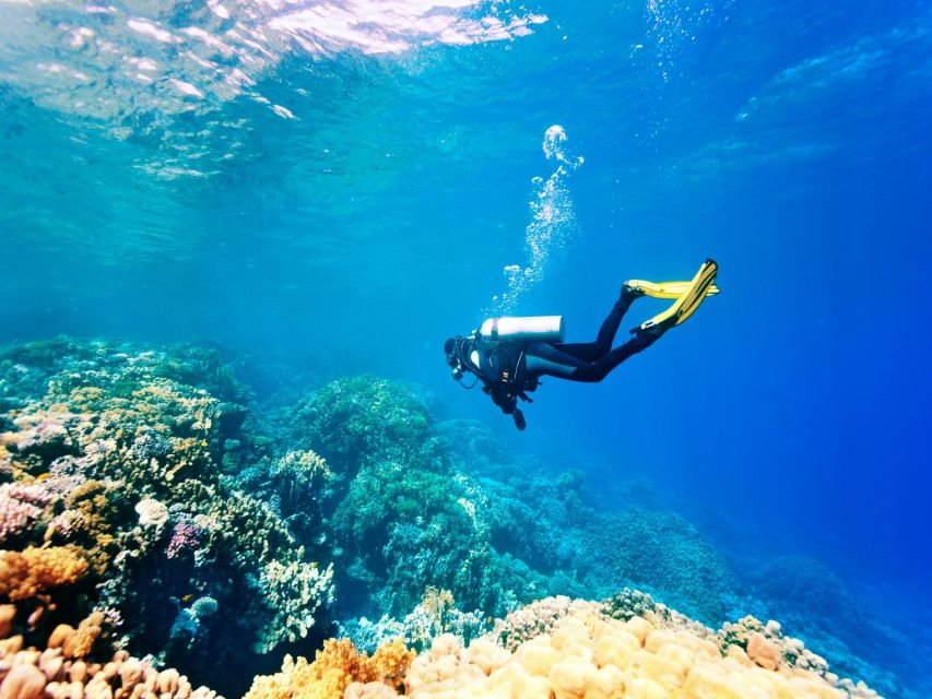 Ganztägiger Tauchausflug in Hurghada (erkunden Sie das Geheimnis des Roten Meeres)