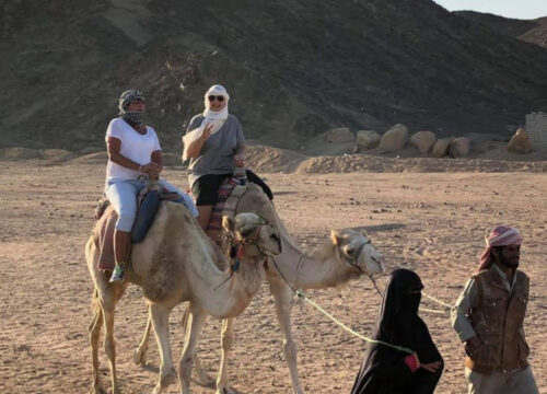 The Influence of Bedouin Traditions on Modern Egyptian Culture