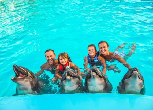 Unvergessliche Fotosession mit Delfinen und Transfer - Hurghada
