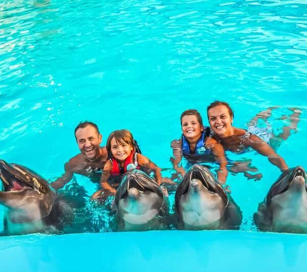 Unvergessliche Fotosession mit Delfinen und Transfer - Hurghada