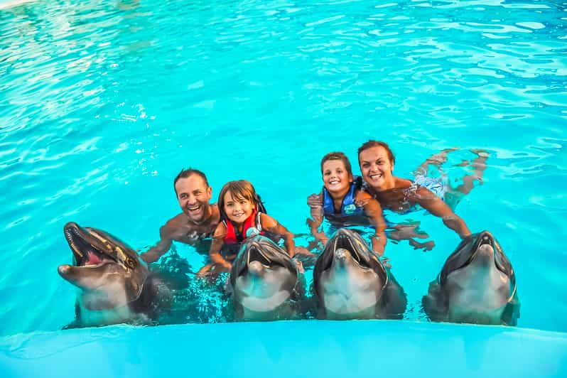 Unvergessliche Fotosession mit Delfinen und Transfer - Hurghada