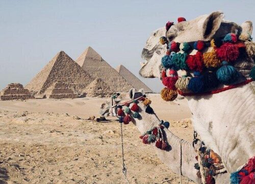 Erkunden Sie Kairo auf einer Mini-Gruppenreise ab Hurghada