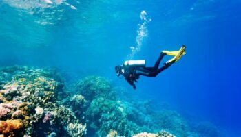 MEGA SEA TRIP (ALLES IN EINEM + Massage + TAUCHEN + Schnorcheln + Wassersport + Meeresfrüchte)