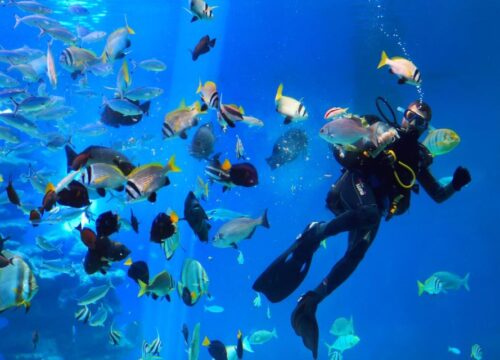 Diving In Hurghada