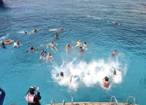 MEGA SEA TRIP (ALL IN ONE)